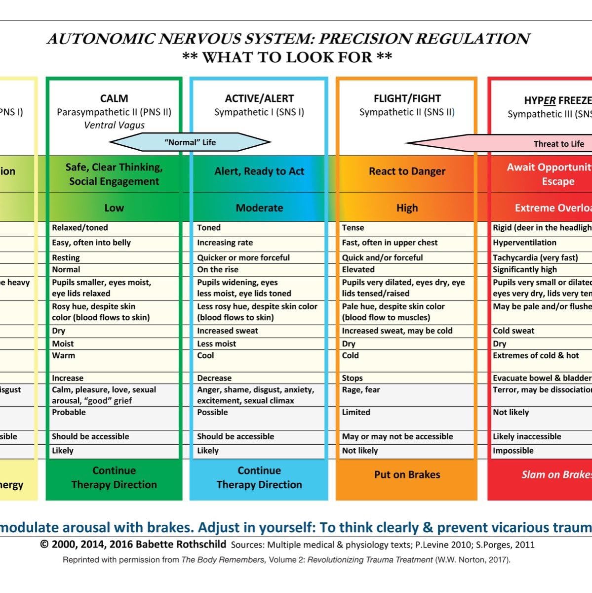 Autonomic Nervous System Table: Laminated Card - görsel 1