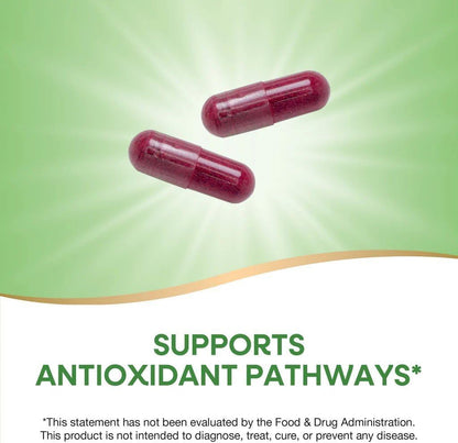 Beet Root 100C (2 Pack)