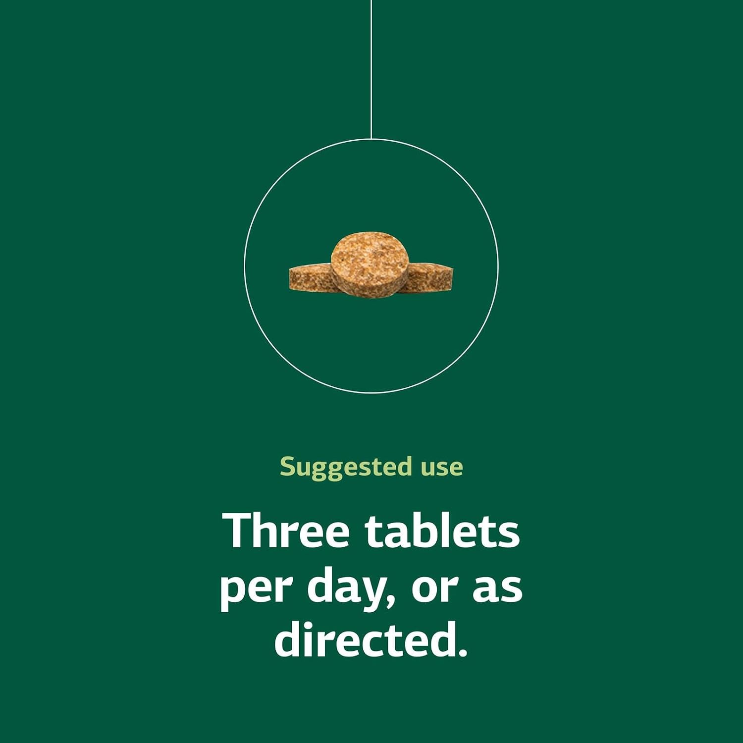 Standard Process Catalyn General Wellbeing Dietary Supplement - Non-Dairy & Non-Soy - 360 Tablets