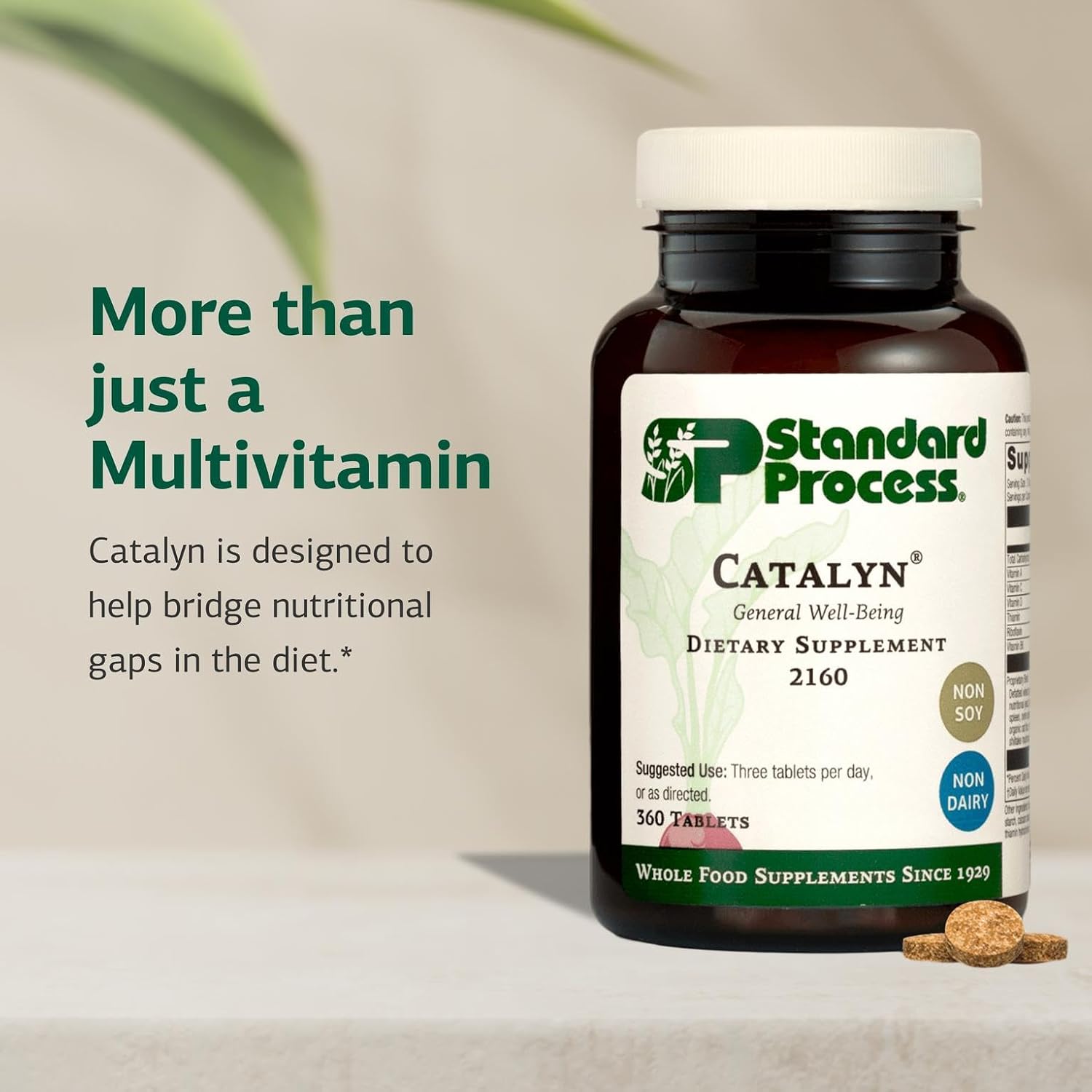 Standard Process Catalyn General Wellbeing Dietary Supplement - Non-Dairy & Non-Soy - 360 Tablets