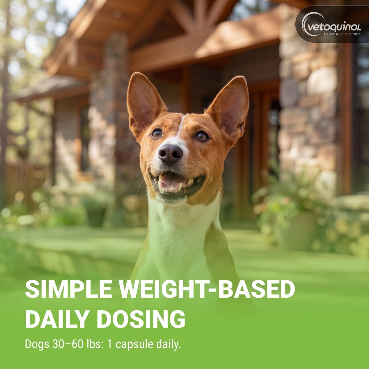 Vetoquinol Triglyceride Omega - Fish Oil for Dogs & Cats - 250 Softgels