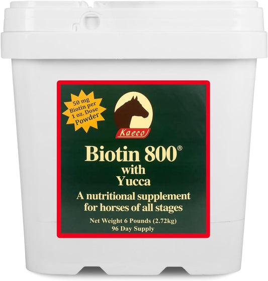 Biotin 800 Powder, 2.72 kg
