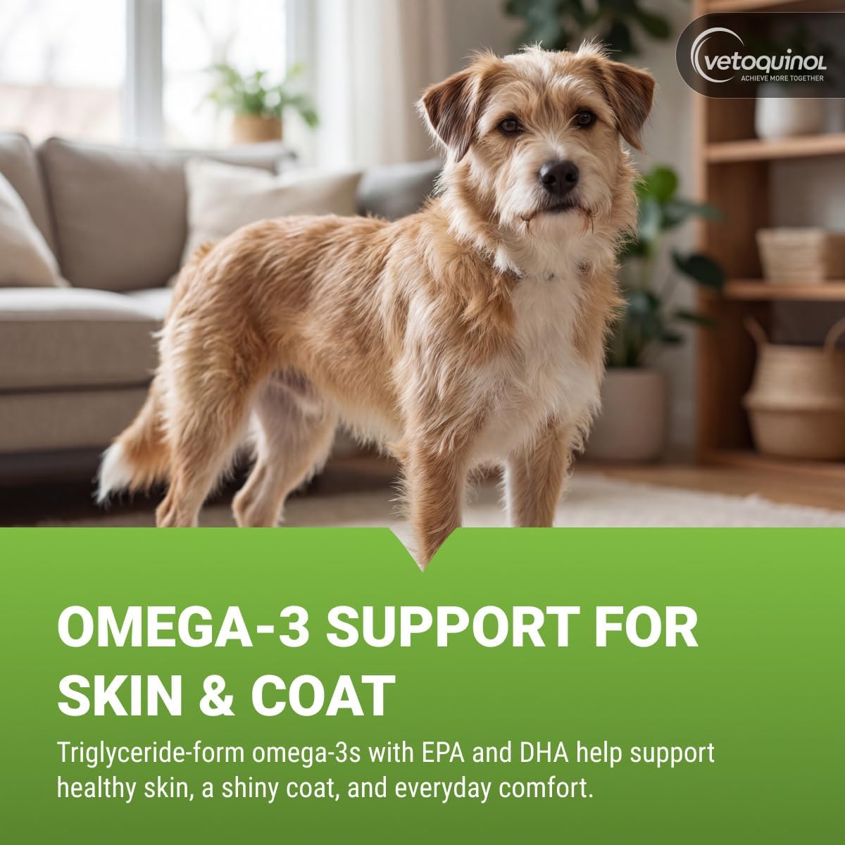 Vetoquinol Triglyceride Omega Fish Oil for Dogs & Cats, 237 mL