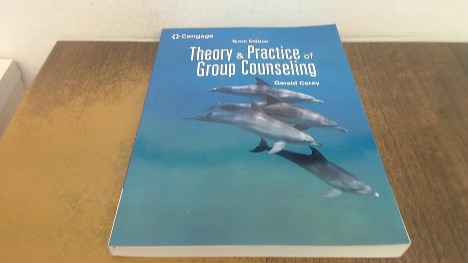 Theory and Practice of Group Counselling (MindTap Course List)