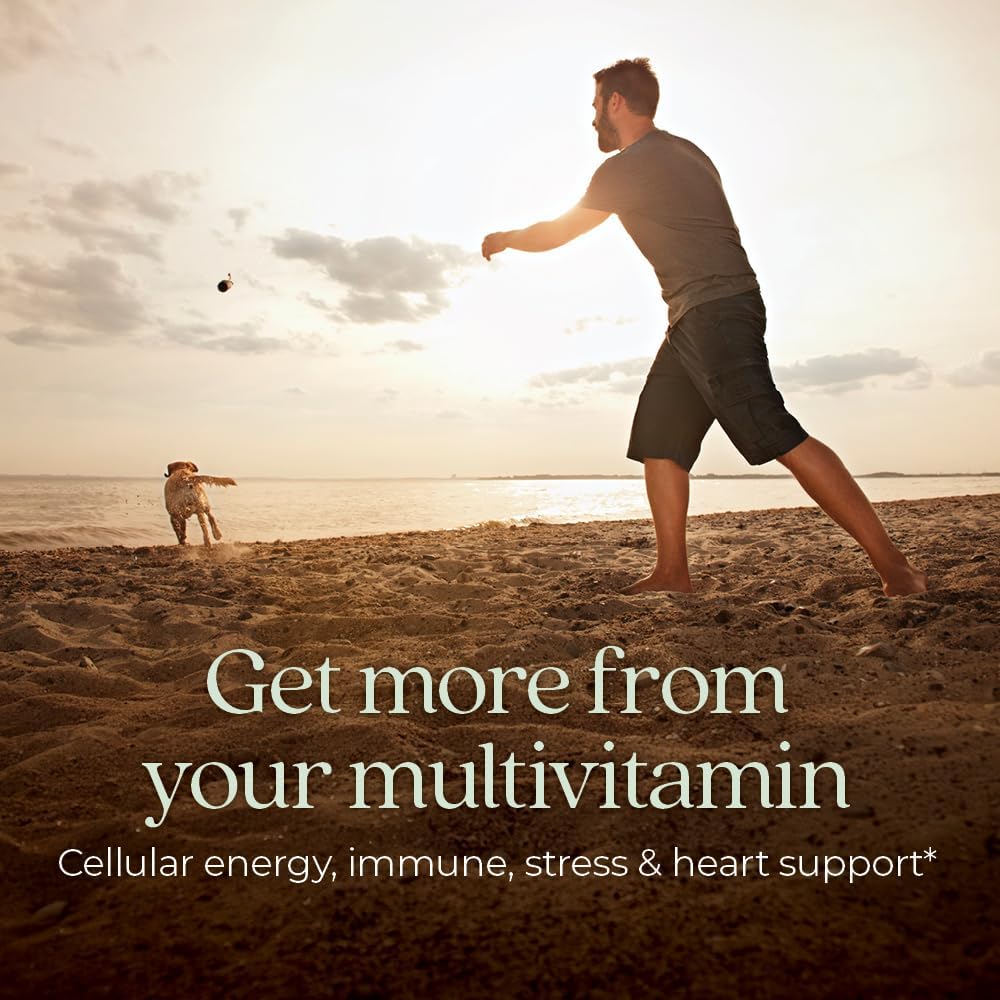 New Chapter Every Man's One Daily Multivitamin - May Help Support Immune, Energy & Bone Health* - Fermented, Organic, Vegetarian - 72 Tablets