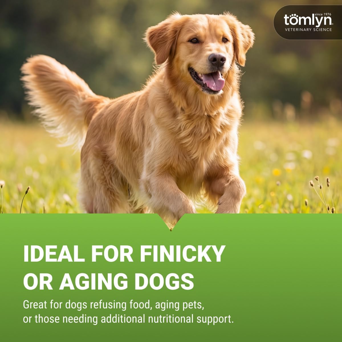 Tomlyn Nutri-Cal Malt-Flavoured High-Calorie Nutritional Gel for Dogs, 4.25 oz
