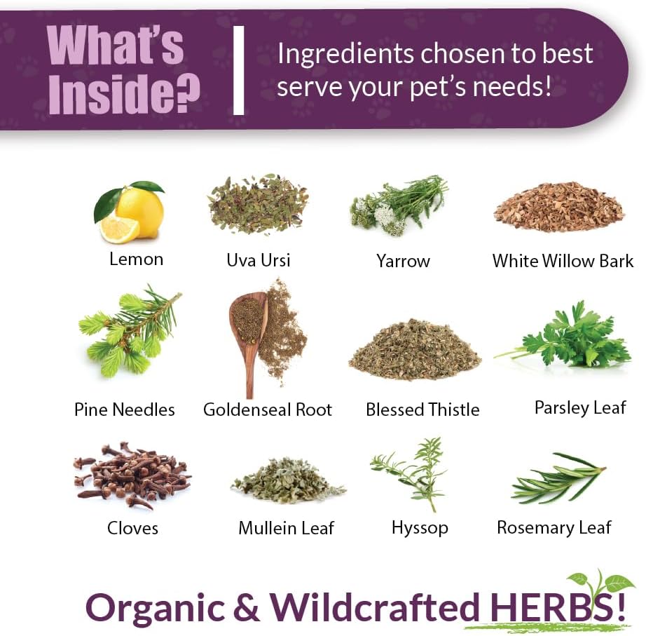 Amber NaturalZ Kidney Rejuvenator Herbal Supplement for Dogs, Cats, Birds, Rabbits, and Guinea Pigs | Supports Normal Kidney Function | Natural Aid for Kidney Health 1 Fluid Ounce - görsel 3