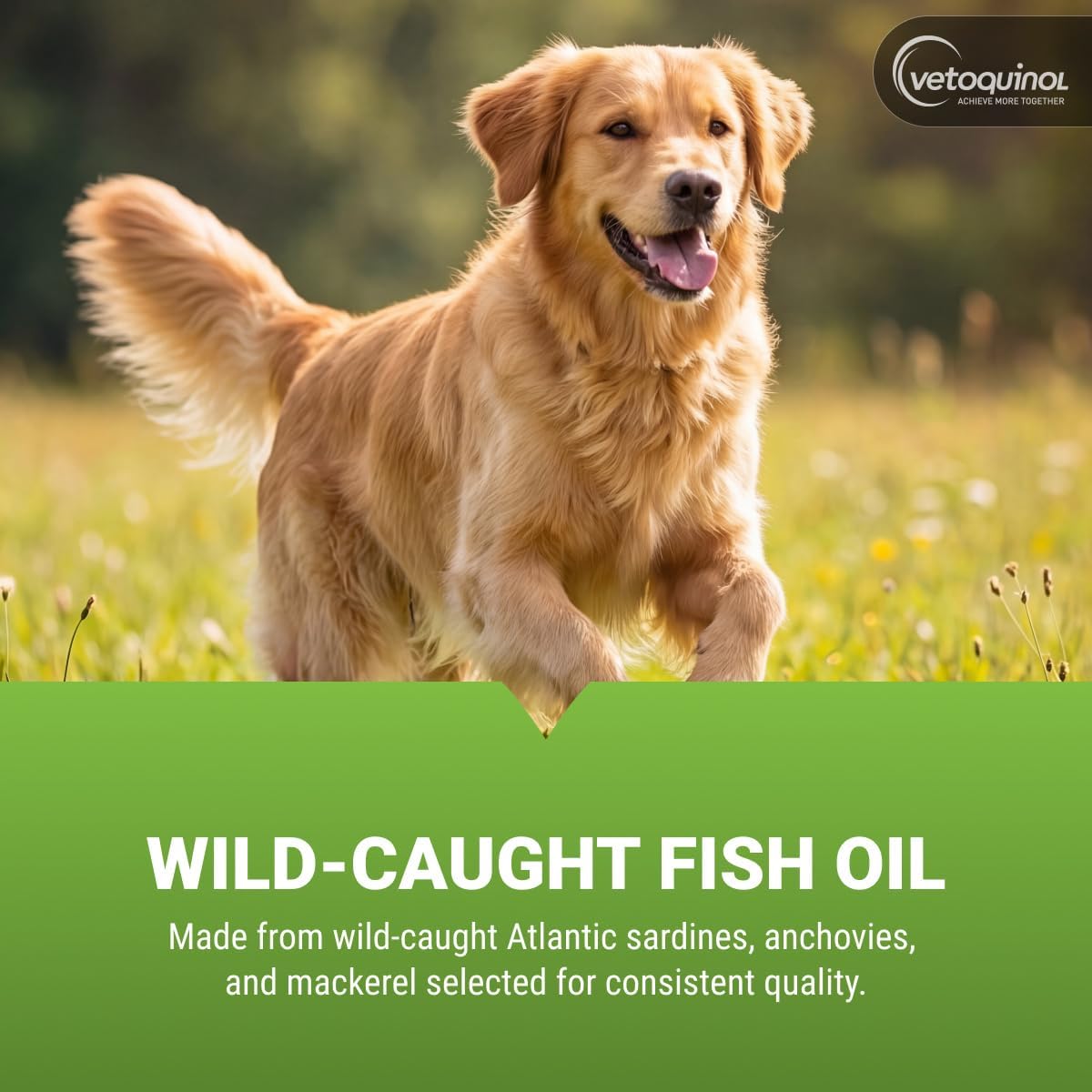 Vetoquinol Triglyceride Omega – Fish Oil for Dogs & Cats – 60 Capsules