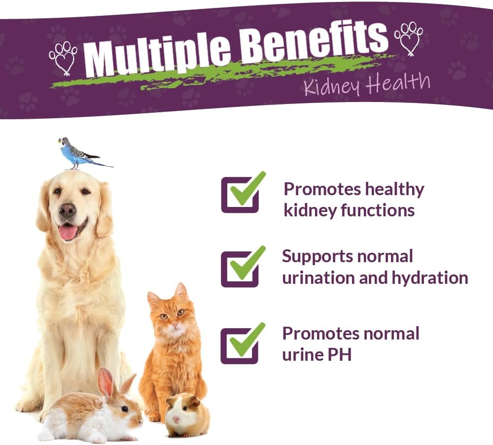 Amber NaturalZ Kidney Rejuvenator Herbal Supplement for Dogs, Cats, Birds, Rabbits, and Guinea Pigs | Supports Normal Kidney Function | Natural Aid for Kidney Health 1 Fluid Ounce - görsel 2