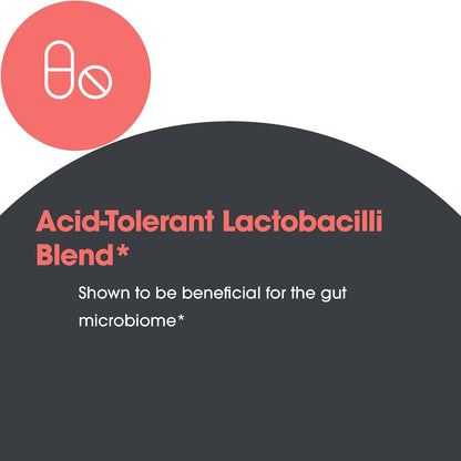 ARG Lactobacillus – Multi-Strain Probiotic Capsule – 100 Capsules