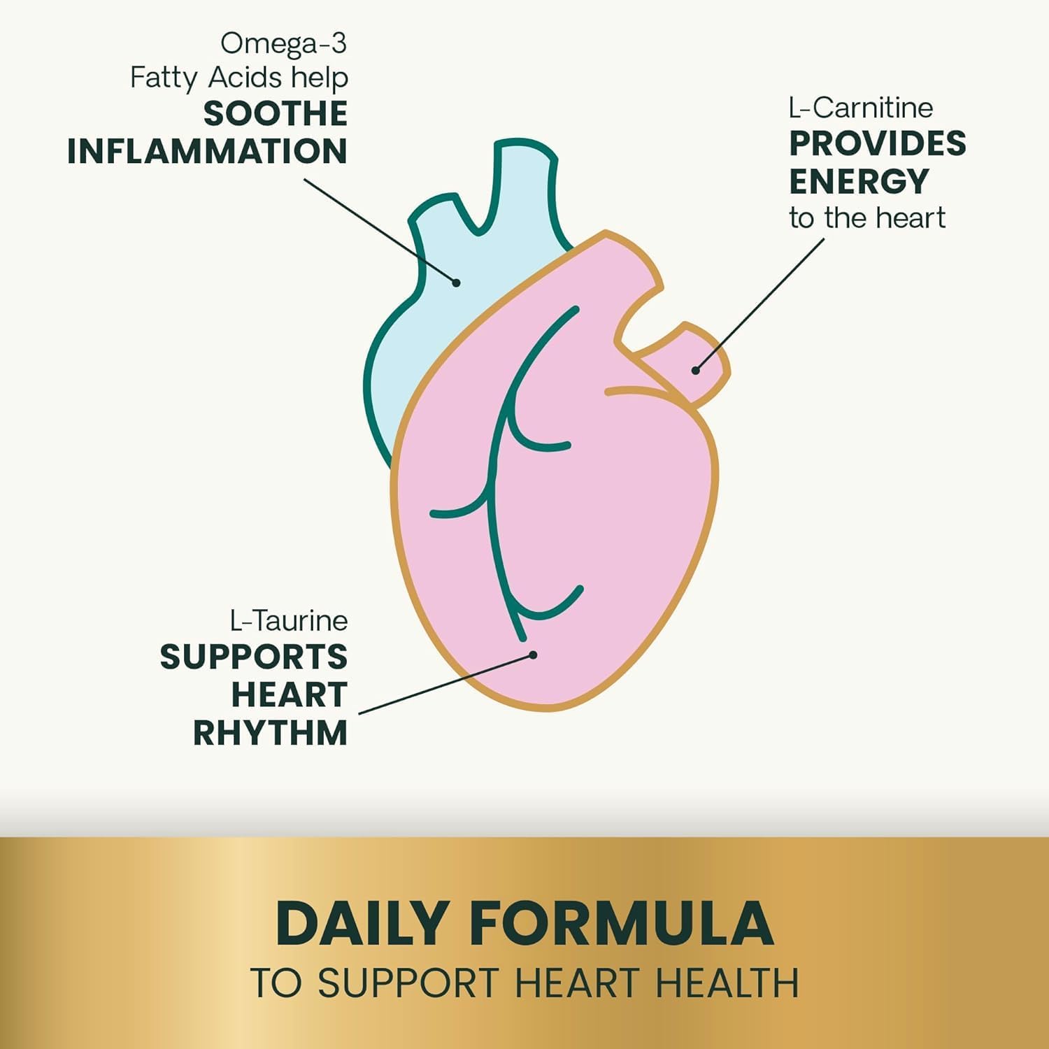 VetriScience Omega Healthy Heart Easy-Open Capsules: Cardio Strength Taurine and Omega-3 Supplement for Dogs and Cats