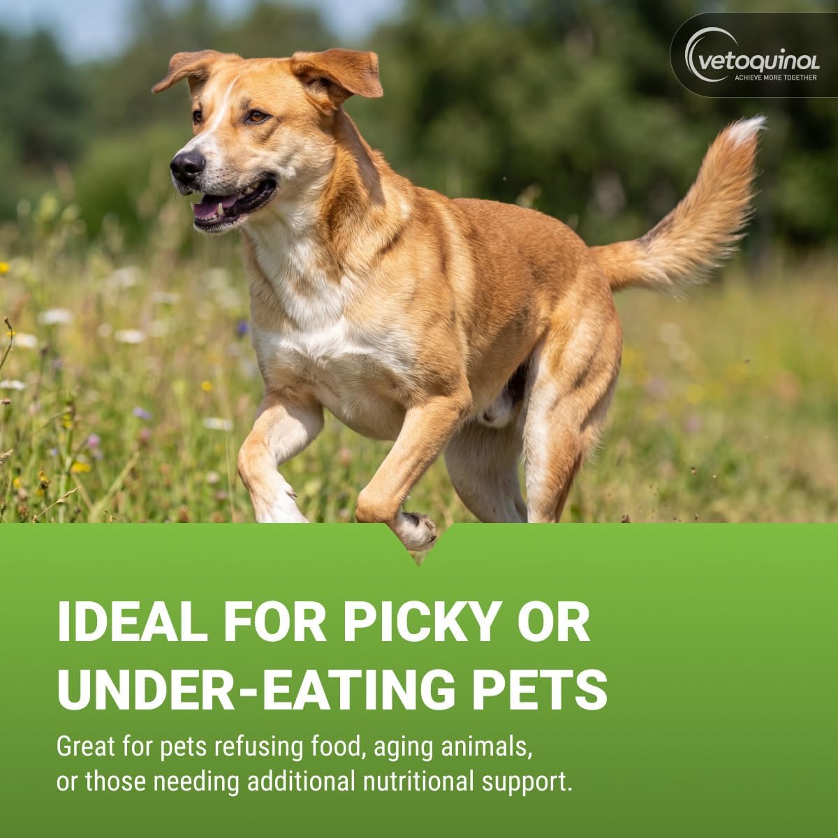 Vetoquinol Nutri-Cal - High-Calorie Nutritional Gel for Dogs & Cats - 120 g