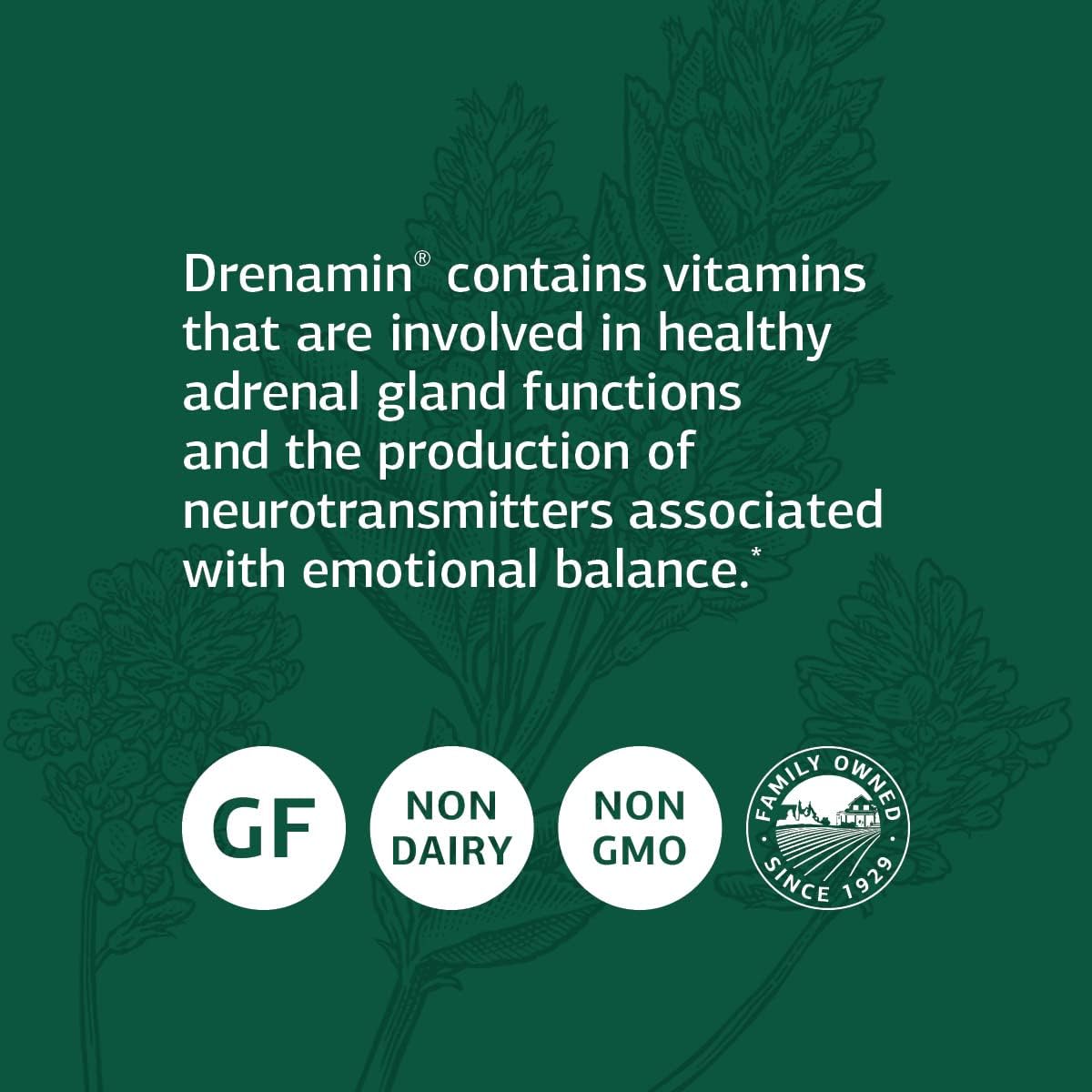 Standard Process Drenamin - Supports Adrenal Gland, Immune System, Energy & Mood - 360 Tablets