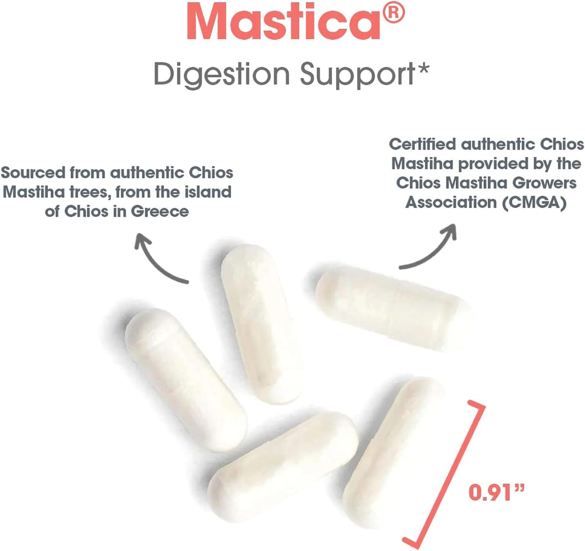 Allergy Research Group Mastica Digestive Support – 120 Capsules - görsel 5