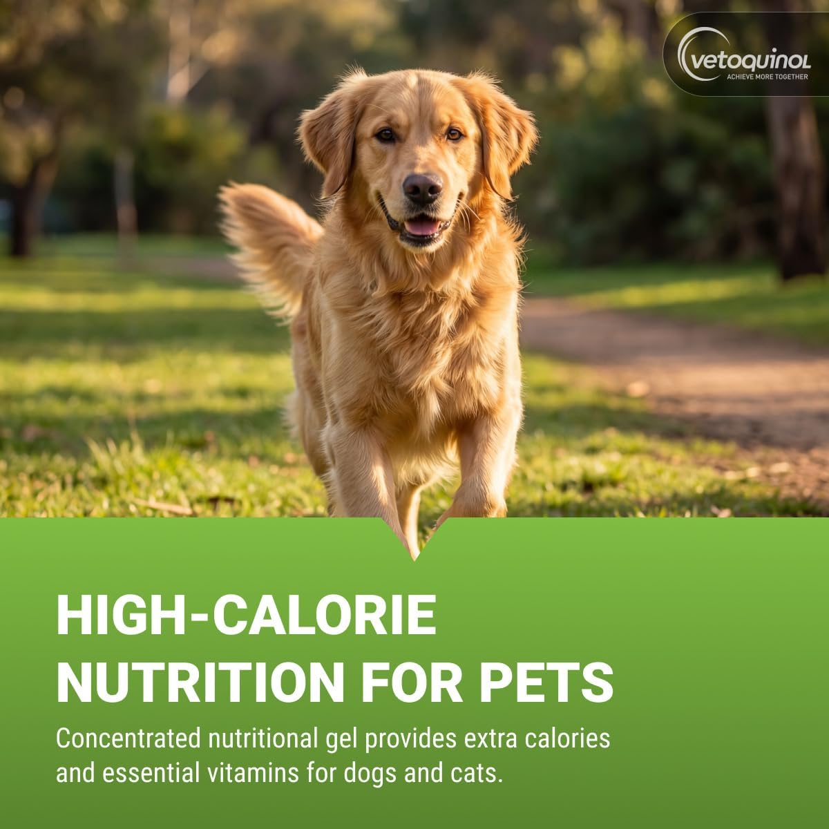 Vetoquinol Nutri-Cal - High-Calorie Nutritional Gel for Dogs & Cats - 120 g