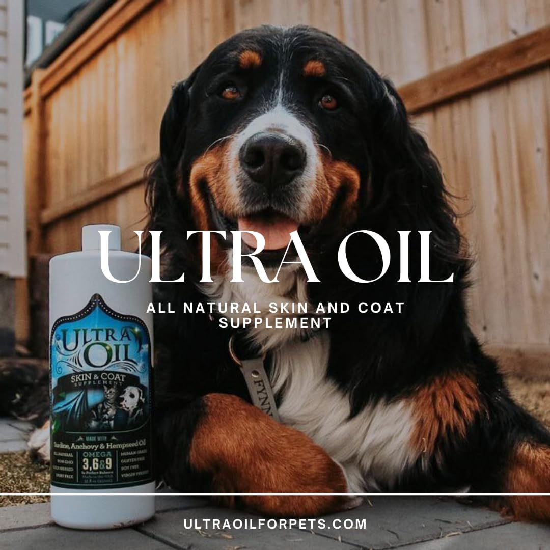Ultra Oil Skin and Coat Supplement for Dogs and Cats – Hemp Seed, Flaxseed, Grape Seed & Fish Oils