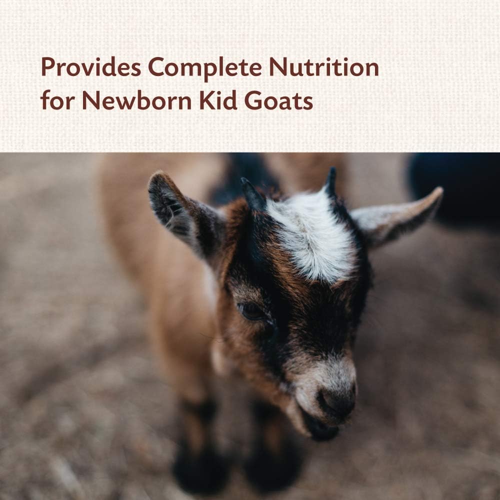 Manna Pro Goat Kid Colostrum Supplement – 8 oz (227 g)