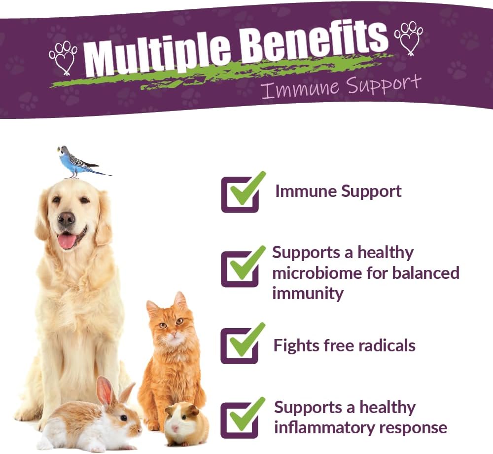 Amber NaturalZ Vibactra Immune Support Herbal Supplement for Pets - 30 ml - görsel 2