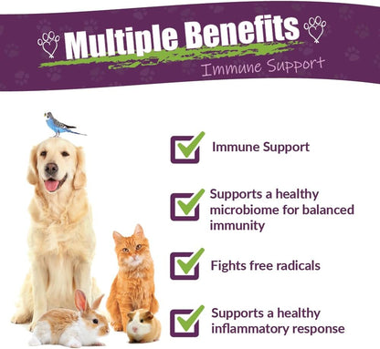 Amber NaturalZ Vibactra Immune Support Herbal Supplement for Pets - 30 ml