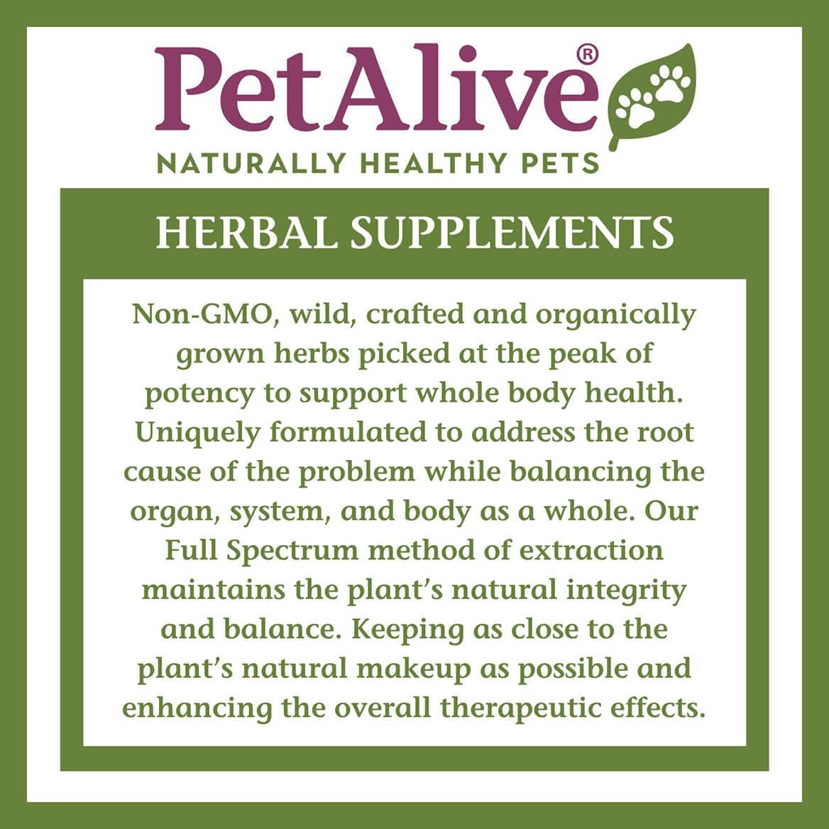 PetAlive Thyro-Pet – Herbal Thyroid Support Supplement for Dogs & Cats – 59 mL Liquid Tincture