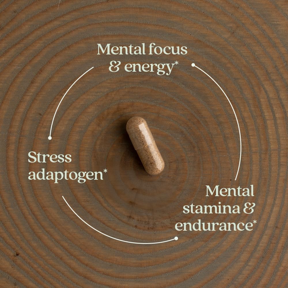 New Chapter Rhodiola Force 300 mg – Vegan Adaptogen for Mental Focus and Stress Support