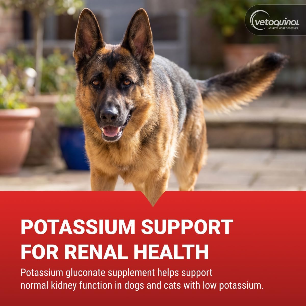 Vetoquinol Renal K - Potassium Supplement Powder for Dogs & Cats - Helps Support Kidney Health - 99 g (3.5 oz)