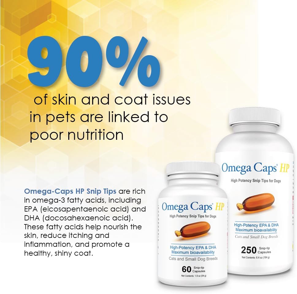 Omega-Caps HP Snip Tips for Cats and Small Dogs - Omega-3 Fish Oil Supplement with EPA, DHA, Vitamins, Minerals, and Antioxidants - Helps Support Immune, Joint, Heart, and Brain Health - 60 Softgels