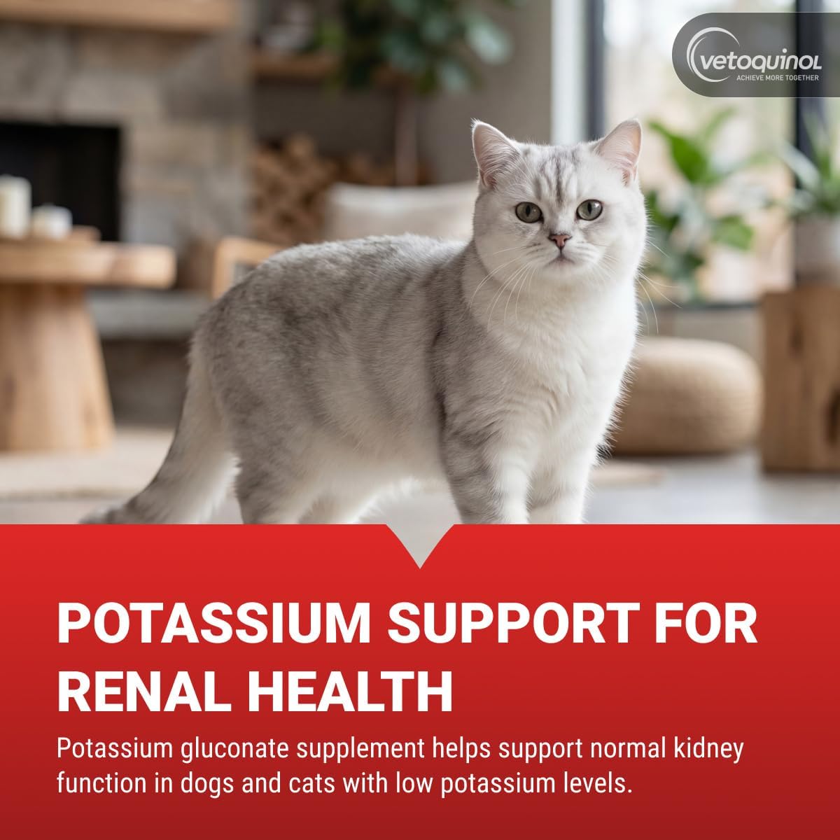 Vetoquinol Renal K - Potassium Supplement for Dogs & Cats - Supports Managing Potassium Levels - Palatable Gel with Maple Flavour - 5 oz