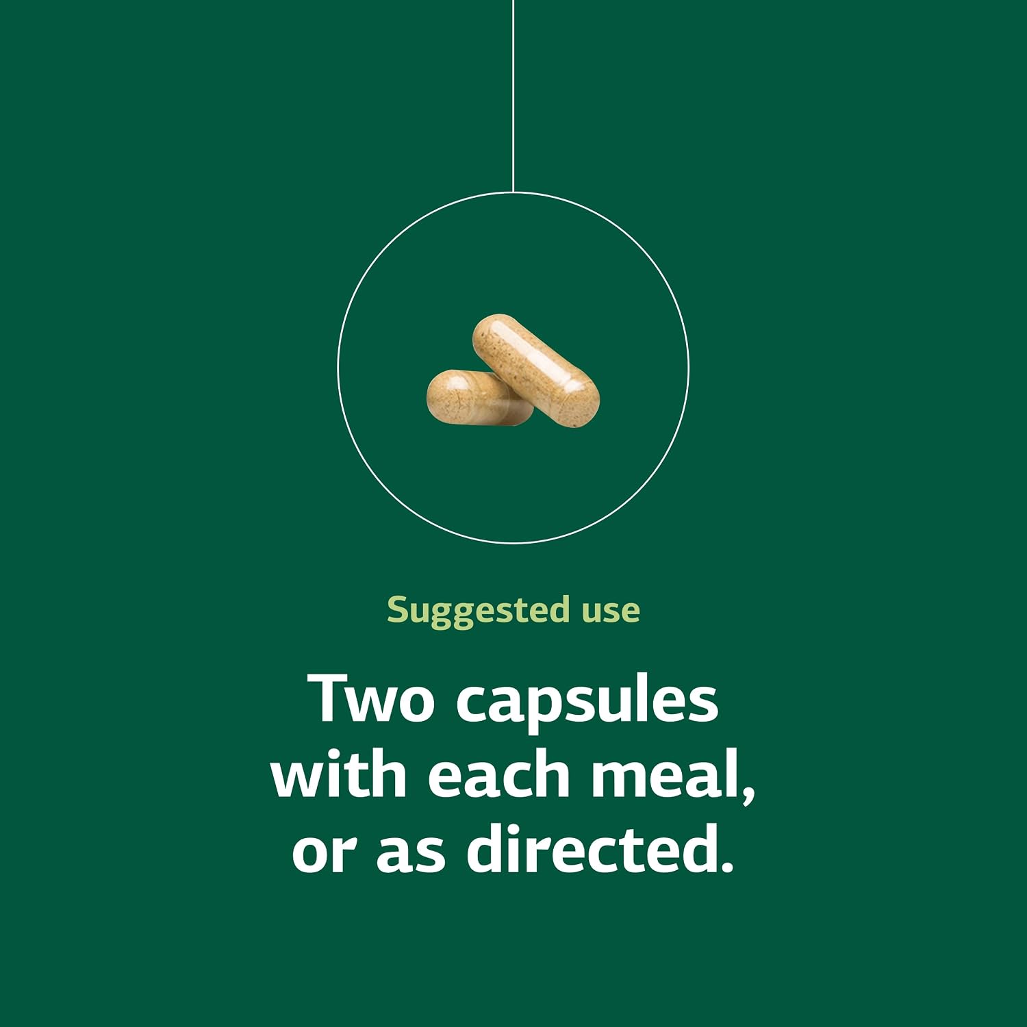 Standard Process Emphaplex - Respiratory System Support, 90 Capsules