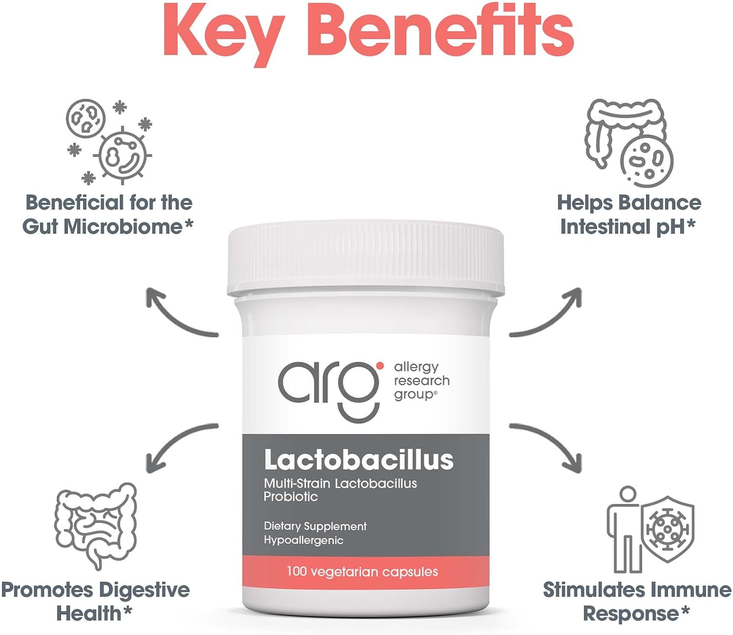 ARG Lactobacillus – Multi-Strain Probiotic Capsule – 100 Capsules - görsel 4