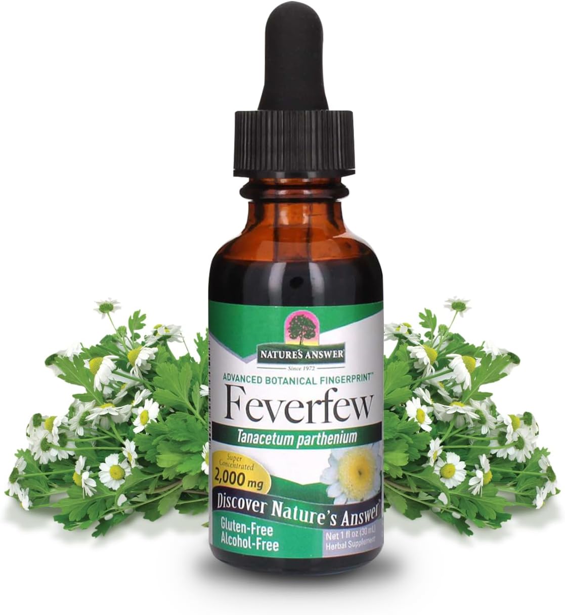 Nature's Answer Alcohol-Free Feverfew Extract 2000mg, 30 mL