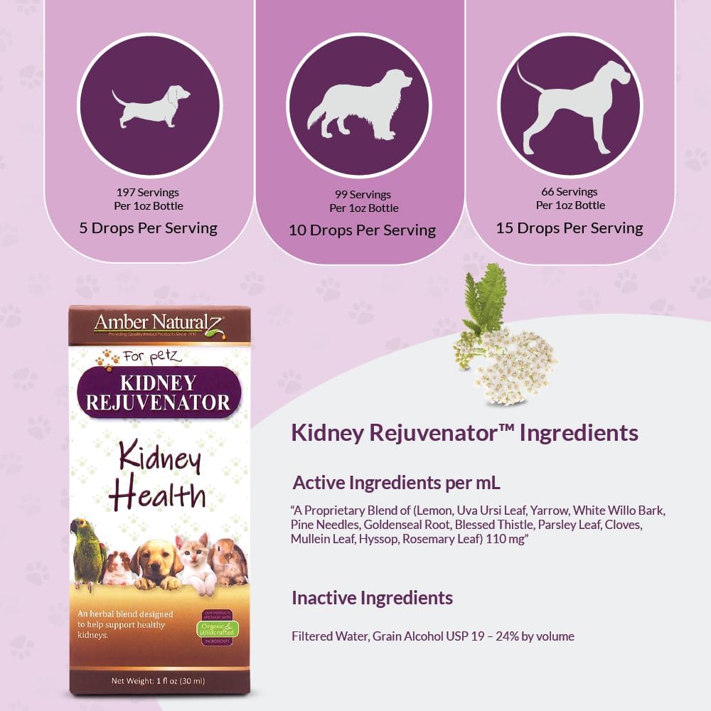Amber NaturalZ Kidney Rejuvenator Herbal Supplement for Dogs, Cats, Birds, Rabbits, and Guinea Pigs | Supports Normal Kidney Function | Natural Aid for Kidney Health 1 Fluid Ounce - görsel 4