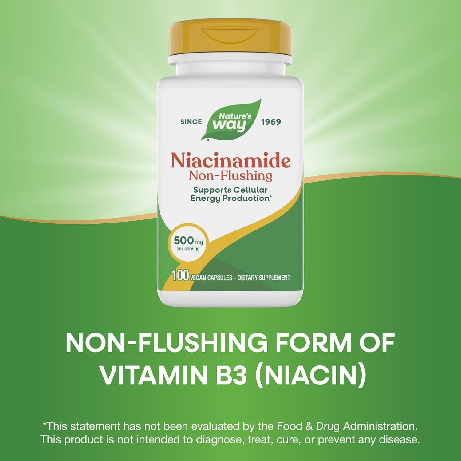 Nature's Way Niacinamide - Non-Flushing Vitamin B3, 500 mg, 100 Capsules