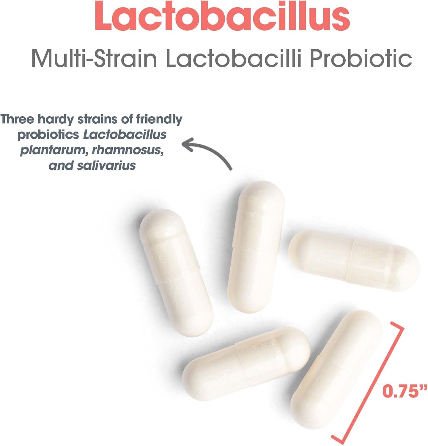 ARG Lactobacillus – Multi-Strain Probiotic Capsule – 100 Capsules - görsel 5