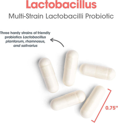 ARG Lactobacillus – Multi-Strain Probiotic Capsule – 100 Capsules