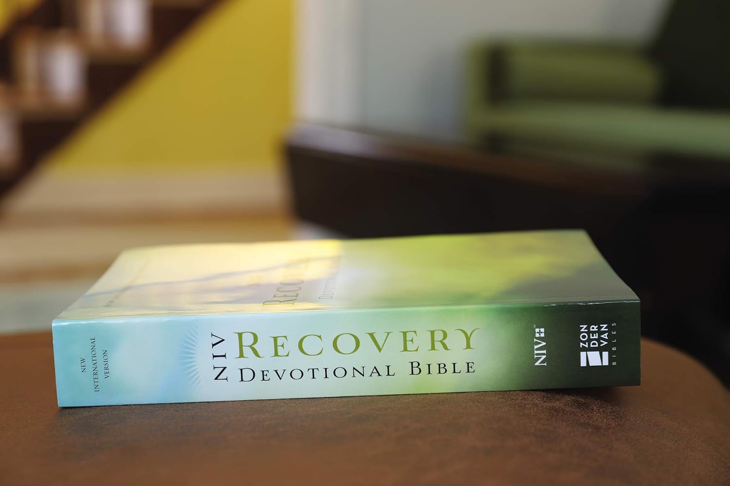 NIV Recovery Devotional Bible, Paperback
