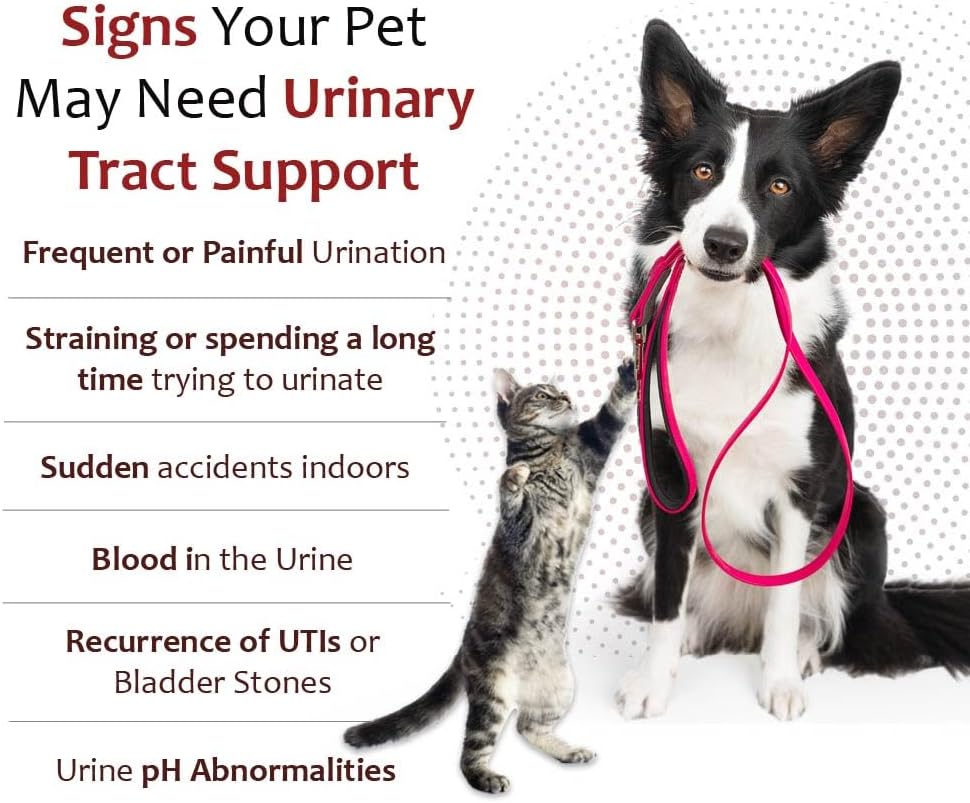 K-Plus Potassium Citrate + Cranberry Granules for Dogs & Cats