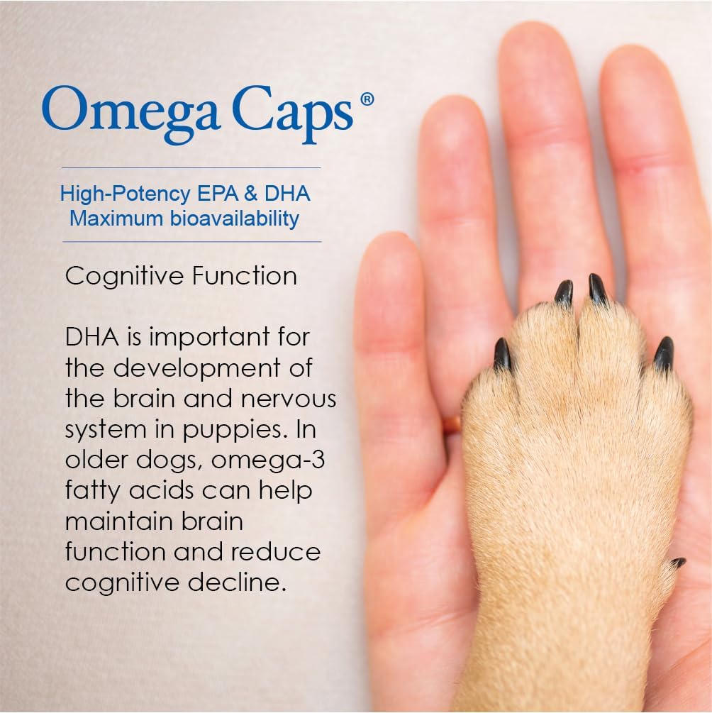 Omega Caps HP Snip Tips for Medium and Large Dogs – High Potency EPA & DHA Fish Oil Supplement, 60 Capsules