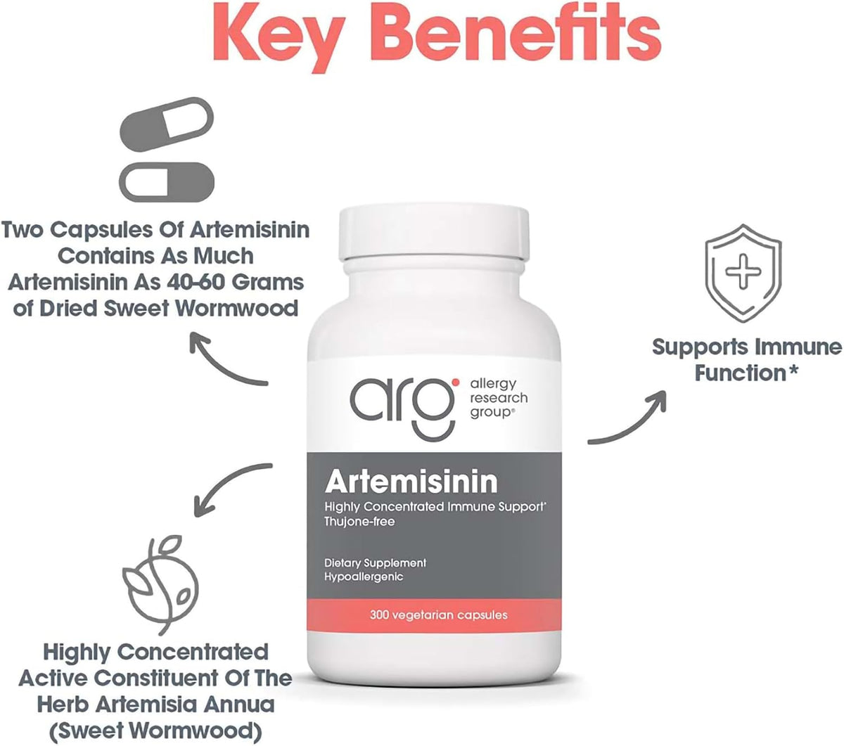 Artemisinin 200 mg – Sweet Wormwood Extract – 300 Capsules - görsel 4