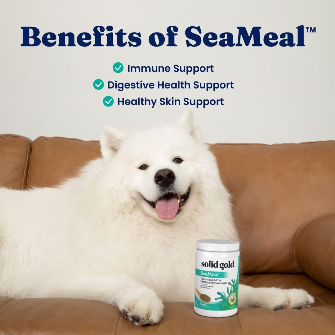 Solid Gold Cat & Dog Multivitamin Powder - SeaMeal Kelp-Based Supplement with Omega-3 - 1 lb