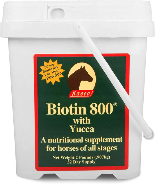 Biotin 800 Powder by Kaeco