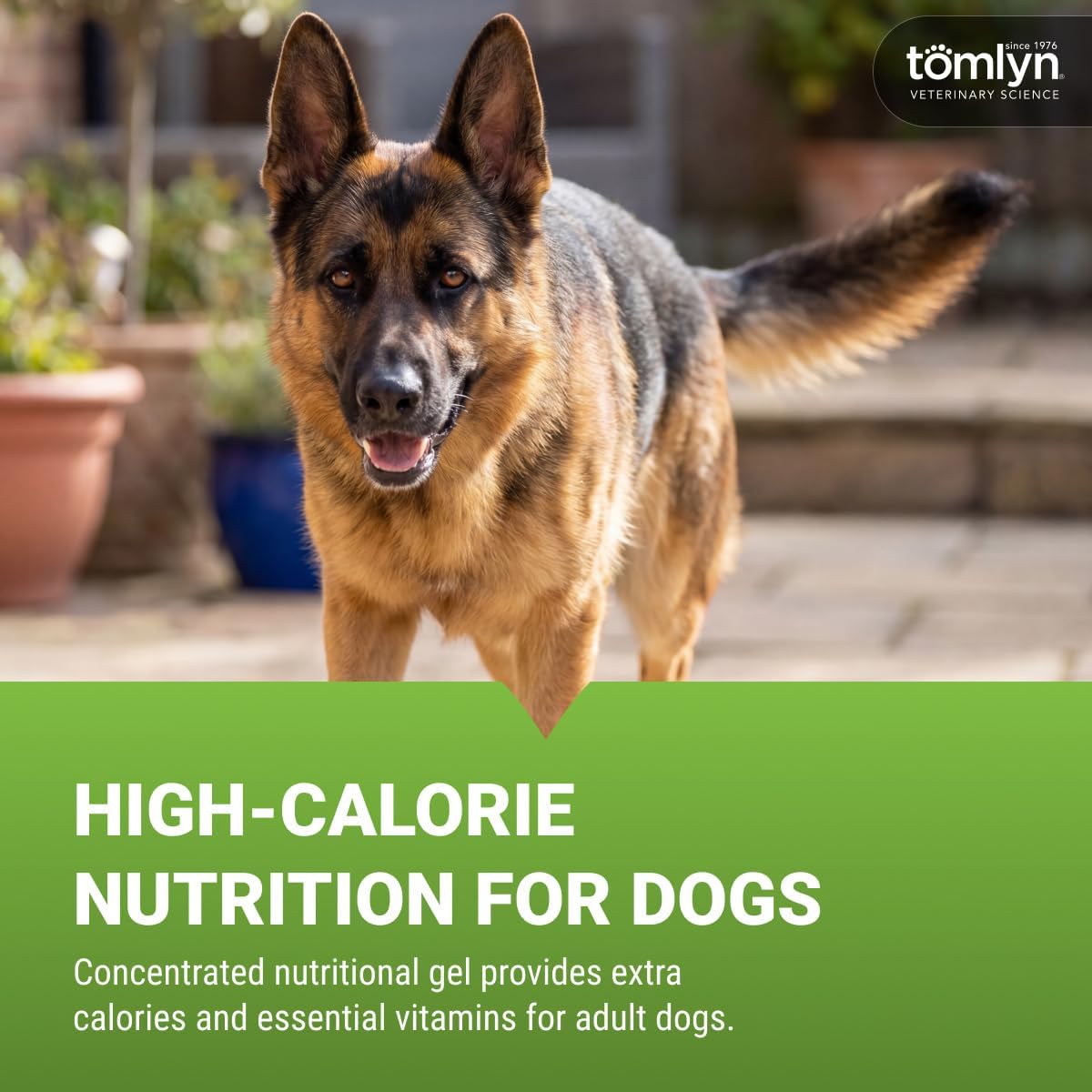 Tomlyn Nutri-Cal Malt-Flavoured High-Calorie Nutritional Gel for Dogs, 4.25 oz