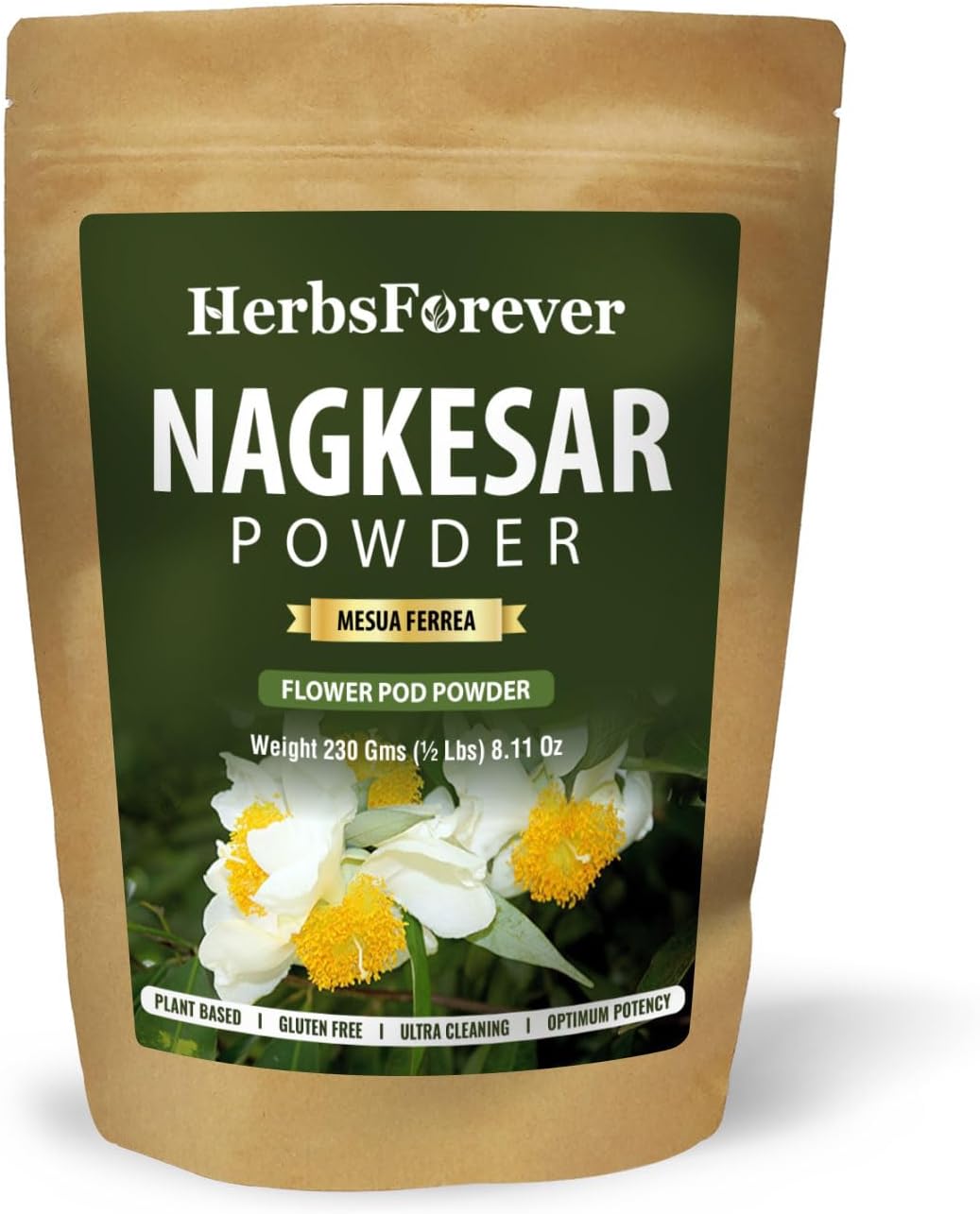 HerbsForever Nagkesar (Mesua Ferrea) Flower Pod Powder – 16 oz (454 g)