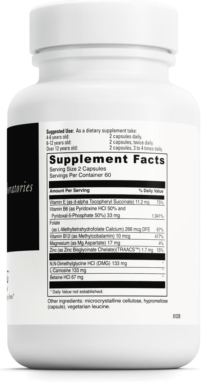 DAVINCI Labs Behaviour Balance-DMG - Dietary Supplement with Vitamin E, B6, Zinc, Magnesium - Gluten-Free - 120 Vegetarian Capsules