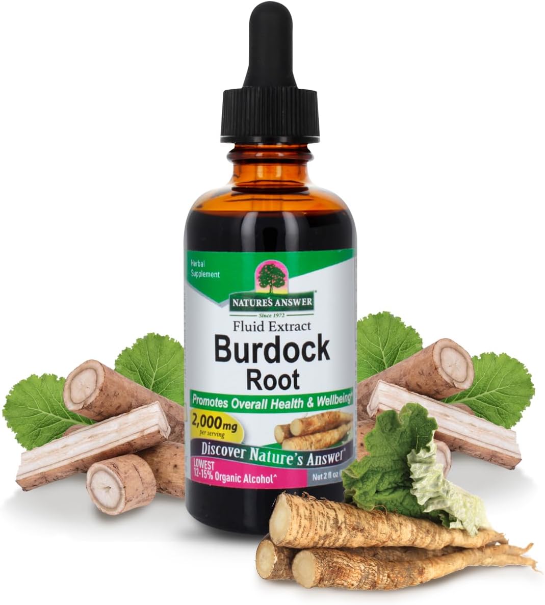 Nature's Answer Burdock Root Herbal Supplement - Super Concentrated, Low Alcohol, Gluten-Free - 2 fl oz (60 mL)