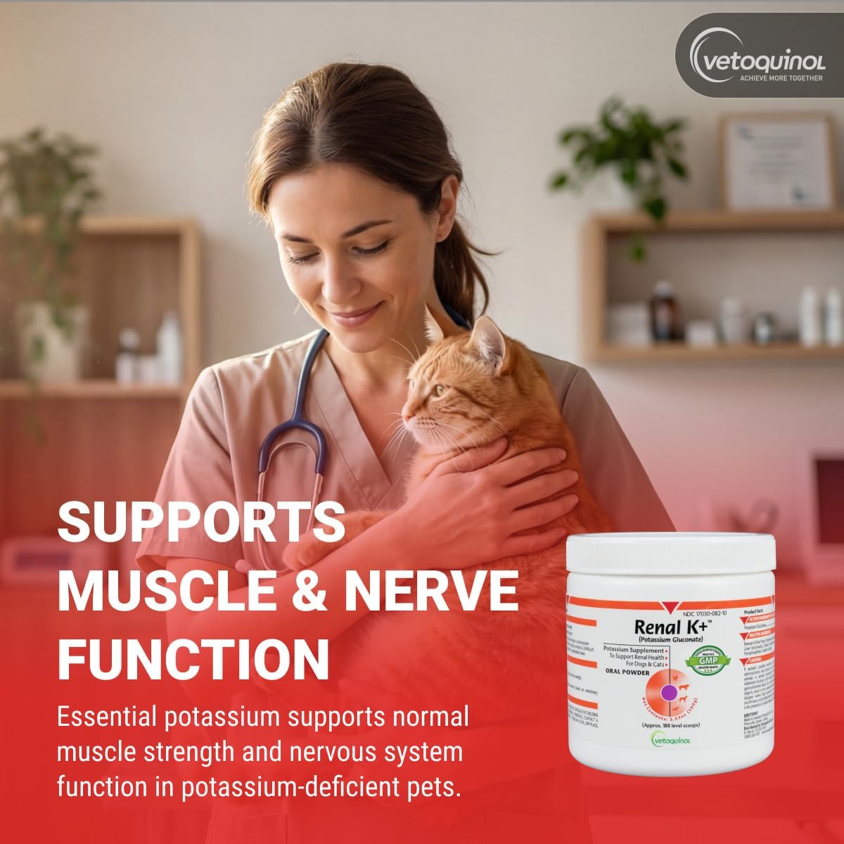 Vetoquinol Renal K - Potassium Supplement Powder for Dogs & Cats - Helps Support Kidney Health - 99 g (3.5 oz)