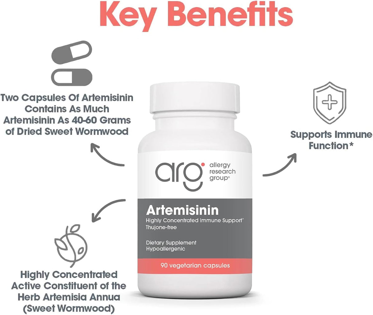 ARG Artemisinin – 200 mg Sweet Wormwood Extract – Immune & Digestive Support – 90 Capsules - görsel 4