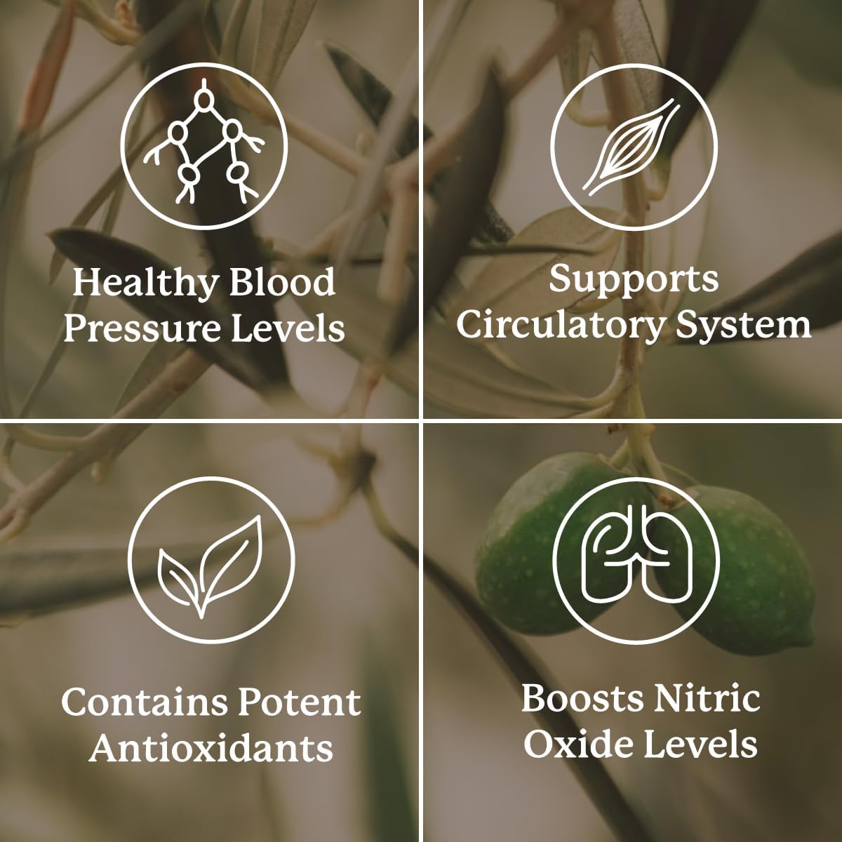 Nature's Sunshine Blood Pressurex - 60 Capsules