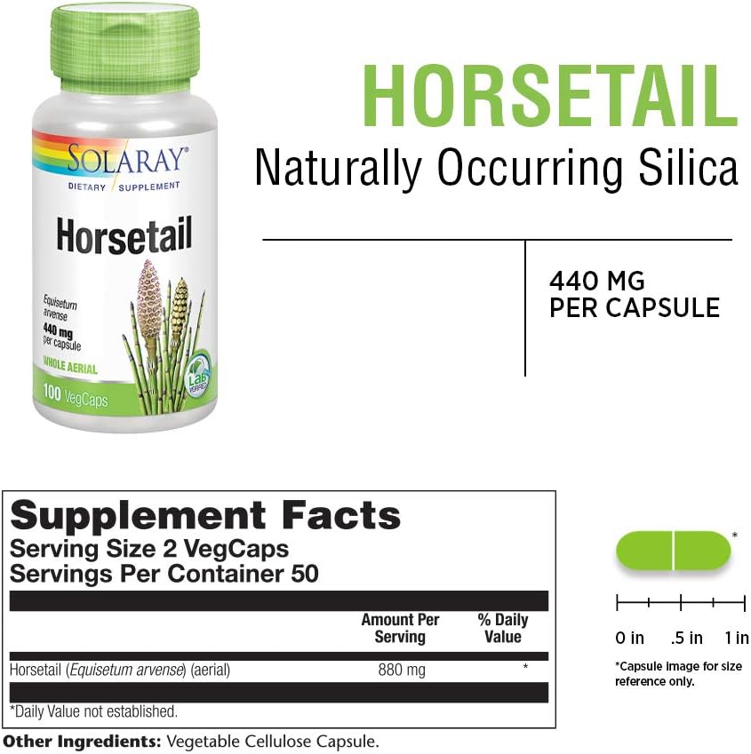 Solaray Horsetail 880 mg - Natural Silica Supplement for Hair, Skin & Nails - 100 Vegan Capsules
