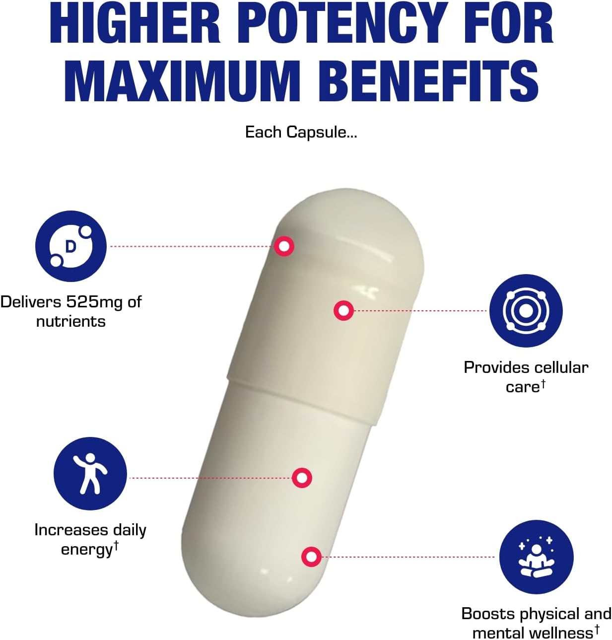 High Absorption Vitamin B3 Niacin (Flush-Free) – Clinical Formula – 100 Servings